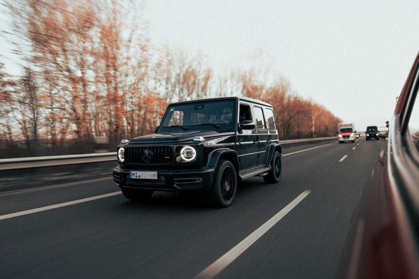 How can you introduce a new pet to your household?