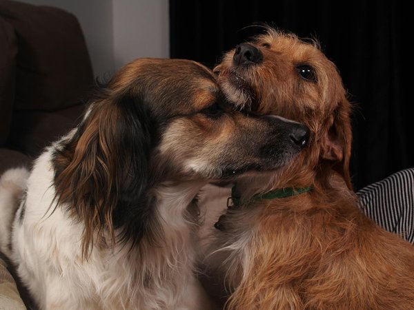 How can one effectively manage chronic pain through lifestyle changes?